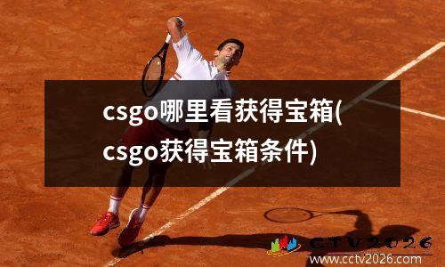 csgo哪里看获得宝箱(csgo获得宝箱条件)