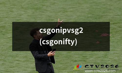 csgonipvsg2(csgonifty)