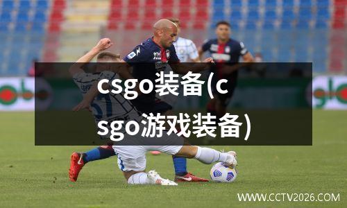 csgo装备(csgo游戏装备)