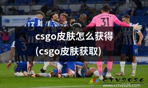 csgo皮肤怎么获得(csgo皮肤获取)