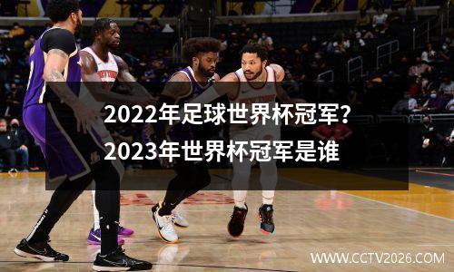 2022年足球世界杯冠军？2023年世界杯冠军是谁