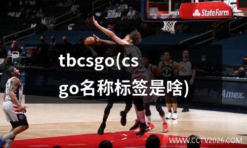 tbcsgo(csgo名称标签是啥)