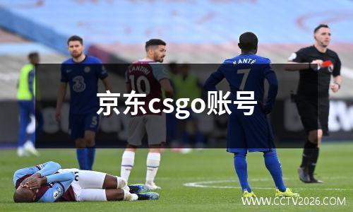 京东csgo账号