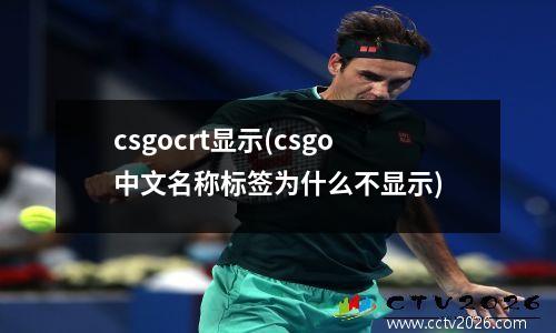 csgocrt显示(csgo中文名称标签为什么不显示)