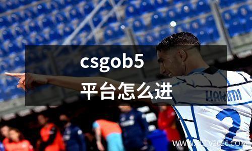 csgob5平台怎么进