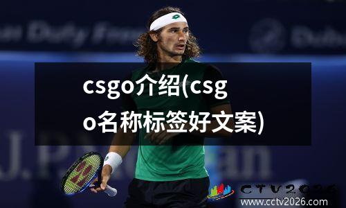 csgo介绍(csgo名称标签好文案)