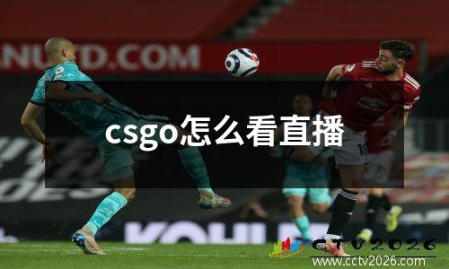 csgo怎么看直播