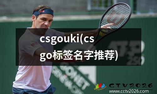 csgouki(csgo标签名字推荐)