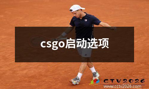 csgo启动选项