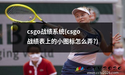 csgo战绩系统(csgo战绩表上的小图标怎么弄?)