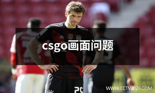 csgo画面问题
