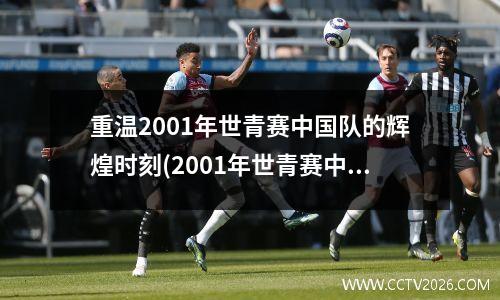 帕尔梅拉斯vs米内罗竞技赛程(帕尔梅拉斯vs米美洲)