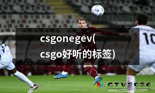 csgonegev(csgo好听的标签)