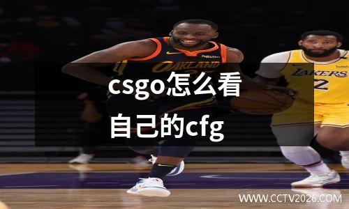 csgo怎么看自己的cfg