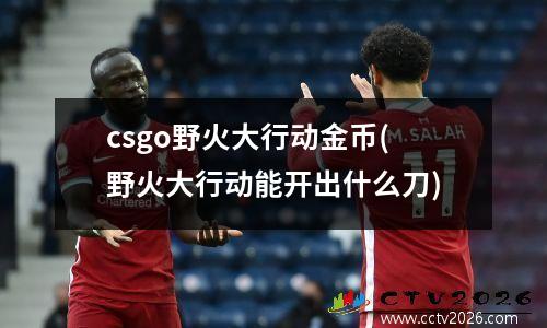 csgo野火大行动金币(野火大行动能开出什么刀)