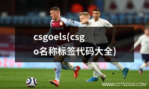 csgoels(csgo名称标签代码大全)