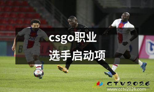csgo职业选手启动项