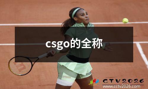 csgo的全称