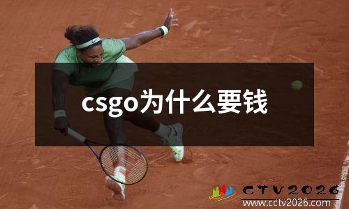 csgo为什么要钱