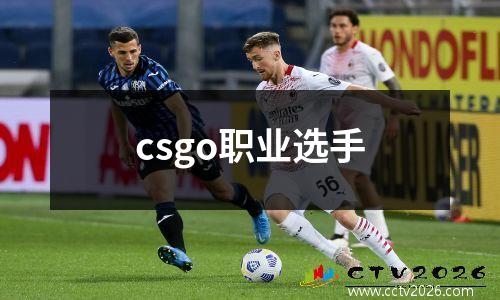 csgo职业选手