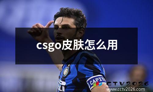 csgo皮肤怎么用