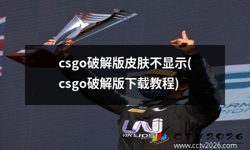 csgo破解版皮肤不显示(csgo破解版下载教程)