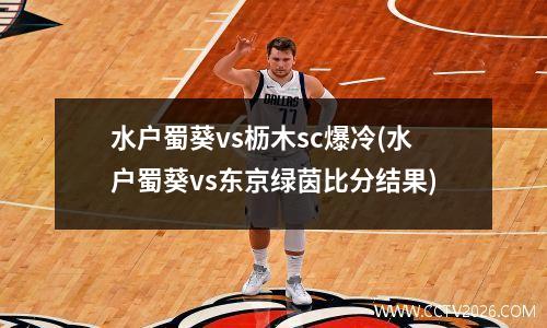 水户蜀葵vs枥木sc爆冷(水户蜀葵vs东京绿茵比分结果)