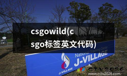 csgowild(csgo标签英文代码)
