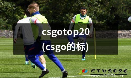 csgotop20(csgo的标)