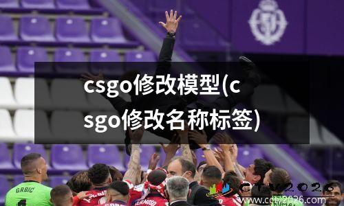 csgo修改模型(csgo修改名称标签)