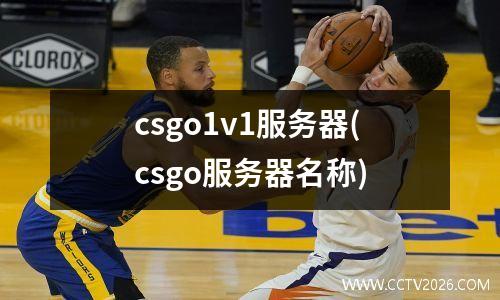 csgo1v1服务器(csgo服务器名称)