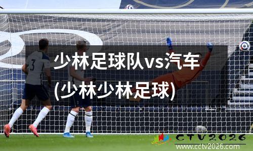 少林足球队vs汽车(少林少林足球)