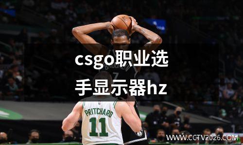 csgo职业选手显示器hz