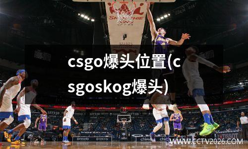 csgo爆头位置(csgoskog爆头)