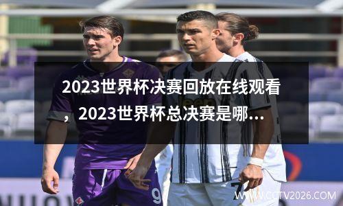 2023世界杯决赛回放在线观看，2023世界杯总决赛是哪两个队