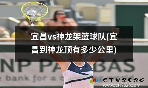 宜昌vs神龙架篮球队(宜昌到神龙顶有多少公里)