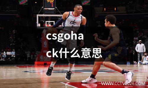 csgohack什么意思