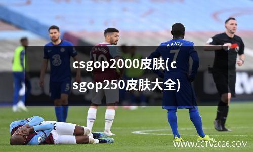 csgop2000皮肤(csgop250皮肤大全)