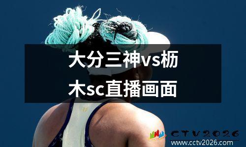大分三神vs枥木sc直播画面