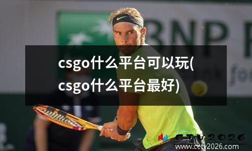 csgo什么平台可以玩(csgo什么平台最好)