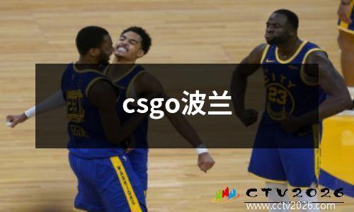 csgo波兰