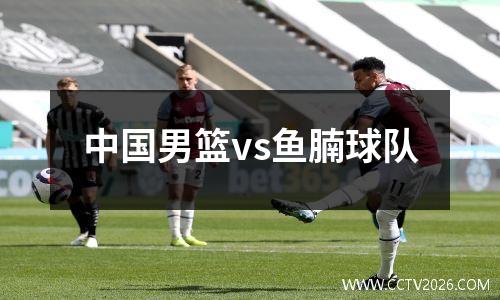 中国男篮vs鱼腩球队