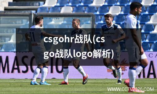 csgohr战队(csgo战队logo解析)