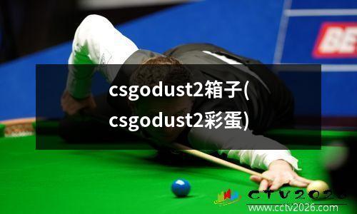 csgodust2箱子(csgodust2彩蛋)