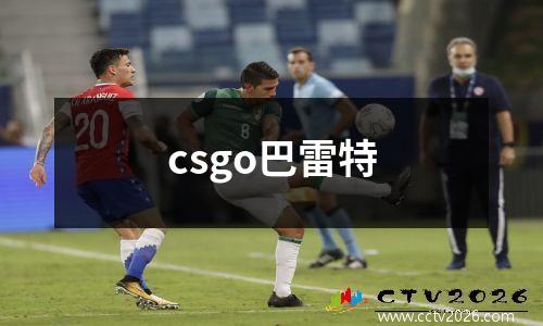csgo巴雷特