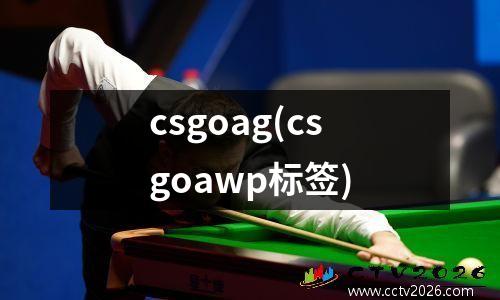 csgoag(csgoawp标签)