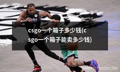 csgo一个箱子多少钱(csgo一个箱子能卖多少钱)
