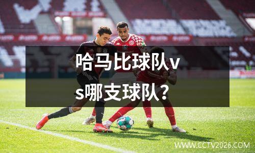哈马比球队vs哪支球队？