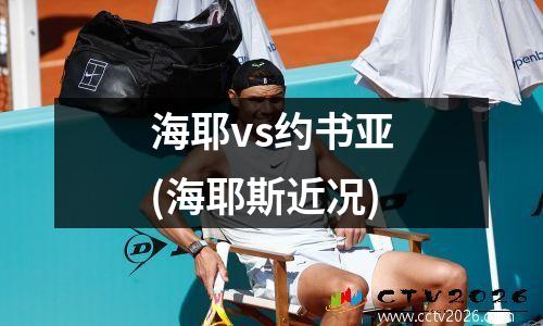 海耶vs约书亚(海耶斯近况)