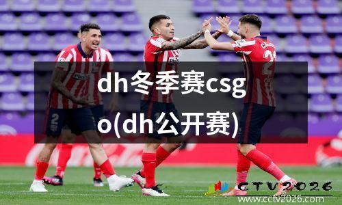 dh冬季赛csgo(dh公开赛)